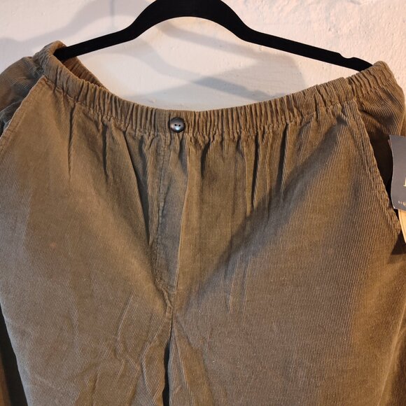 NWT IVY Olive Brown Corduroy Elastic Waist Pockets Loose Pants Petite Small - Picture 11 of 12